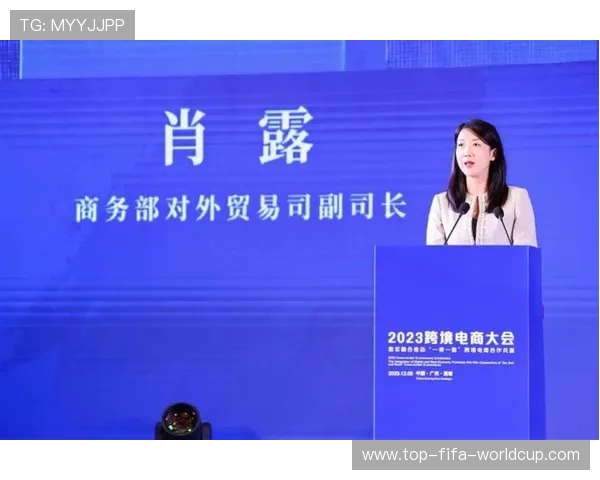 跨境支付新政策落地后的机遇挑战与企业个人应对策略深度评析全面