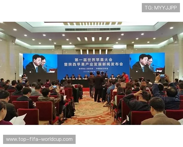辛纳世界第一官方公告发布全面解读与未来发展规划
